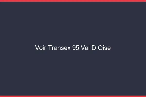 Voir Transex 95 Val D Oise