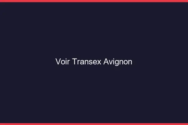 Voir Transex Avignon