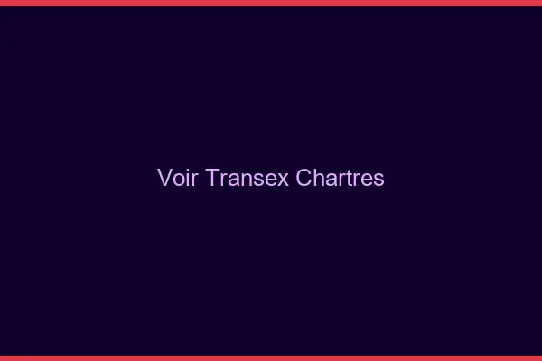 Voir Transex Chartres