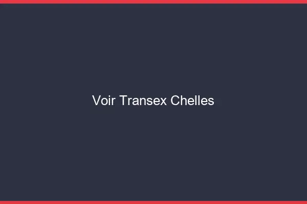 Voir Transex Chelles