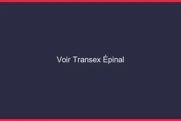 Voir Transex Épinal