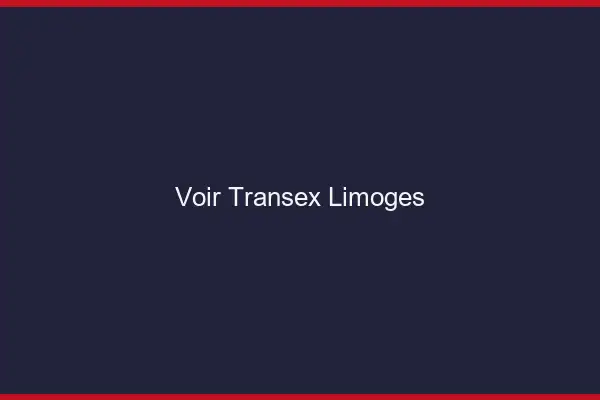 Voir Transex Limoges