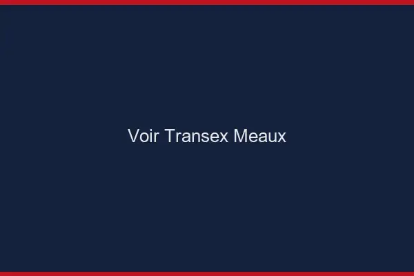 Voir Transex Meaux