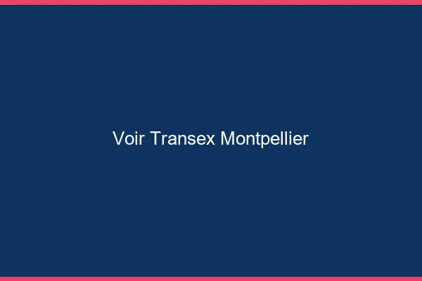 Voir Transex Montpellier