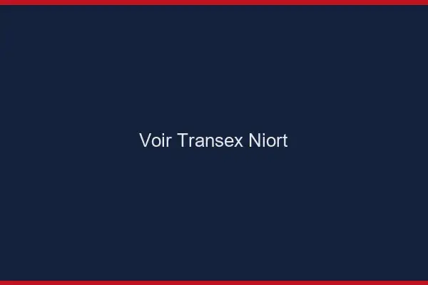 Voir Transex Niort