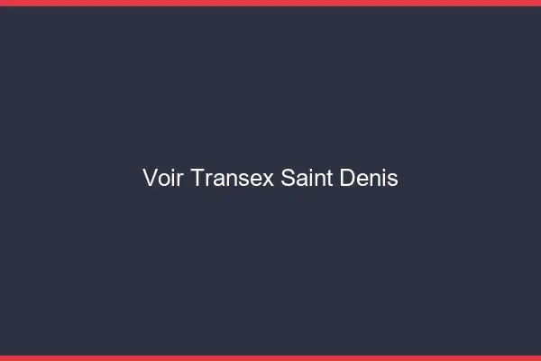 Voir Transex Saint-Denis