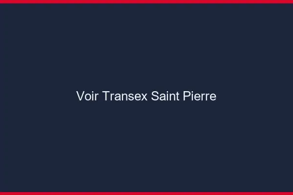 Voir Transex Saint-Pierre