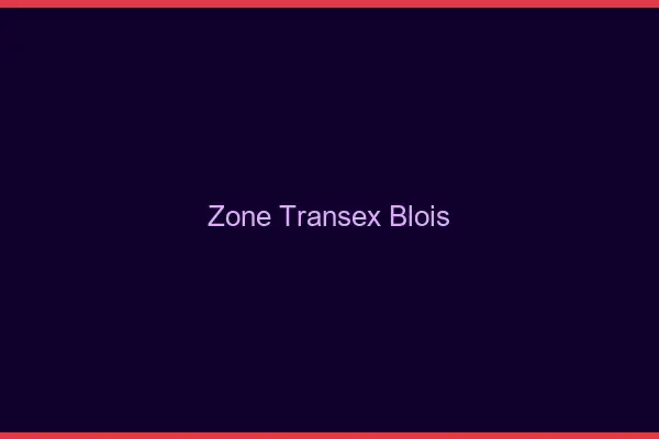 Zone Transex Blois