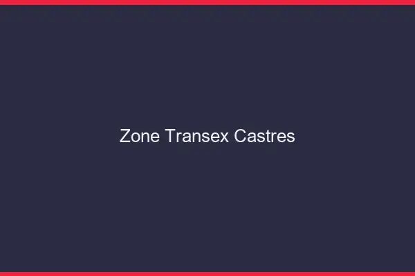 Zone Transex Castres