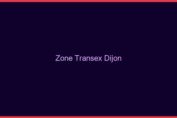 Zone Transex Dijon