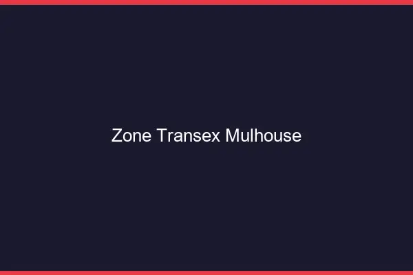 Zone Transex Mulhouse