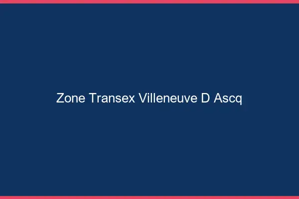 Zone Transex Villeneuve-d'Ascq