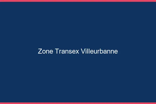 Zone Transex Villeurbanne